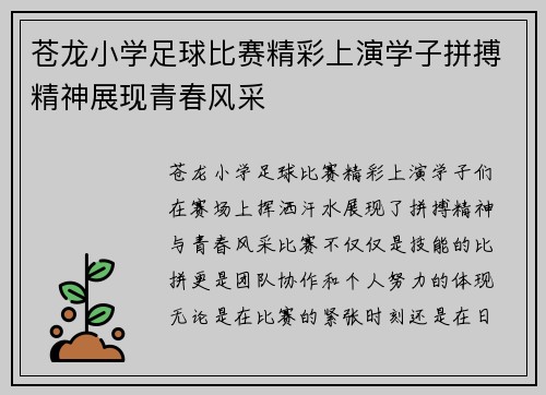 苍龙小学足球比赛精彩上演学子拼搏精神展现青春风采