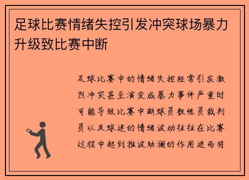 足球比赛情绪失控引发冲突球场暴力升级致比赛中断