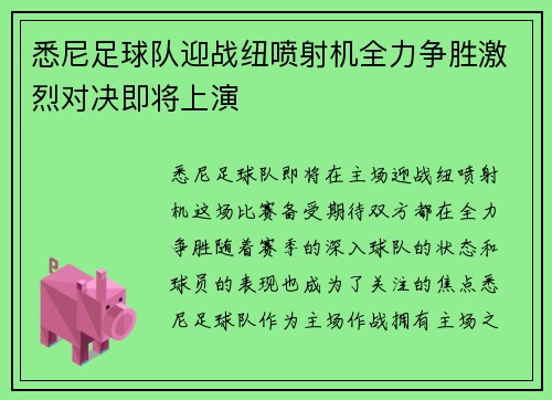 悉尼足球队迎战纽喷射机全力争胜激烈对决即将上演