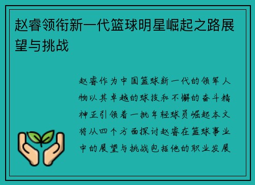 赵睿领衔新一代篮球明星崛起之路展望与挑战