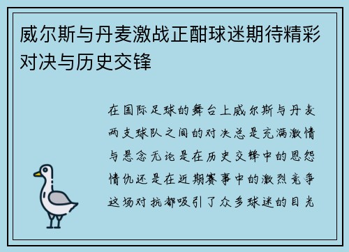 威尔斯与丹麦激战正酣球迷期待精彩对决与历史交锋