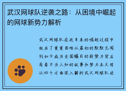 武汉网球队逆袭之路：从困境中崛起的网球新势力解析